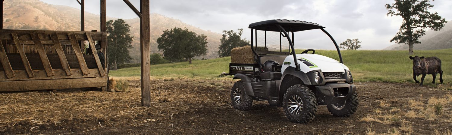 2015 Kawasaki Mule 610 4x4 XC SE for sale in Nielsen Enterprises, Lake Villa, Illinois